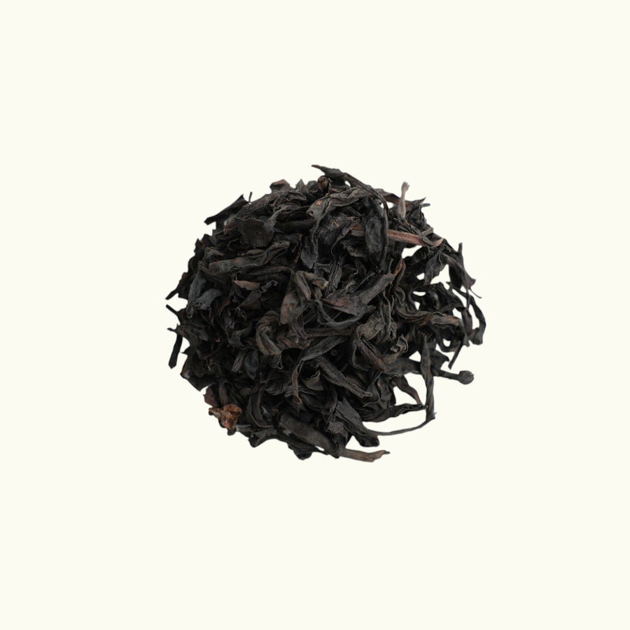 Bei_Dou_Zhu