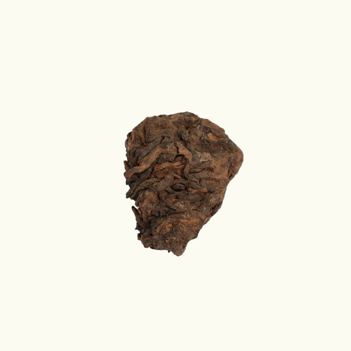 Ripe Puer Tea Heads