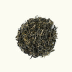 Pine Needles