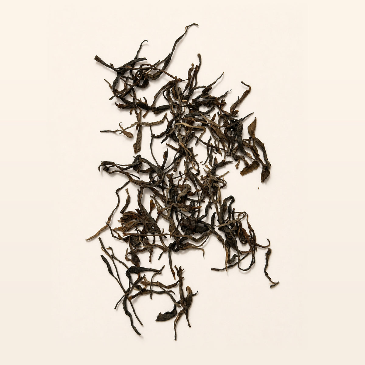 Ancient Tree Raw Puer loose leaf tea