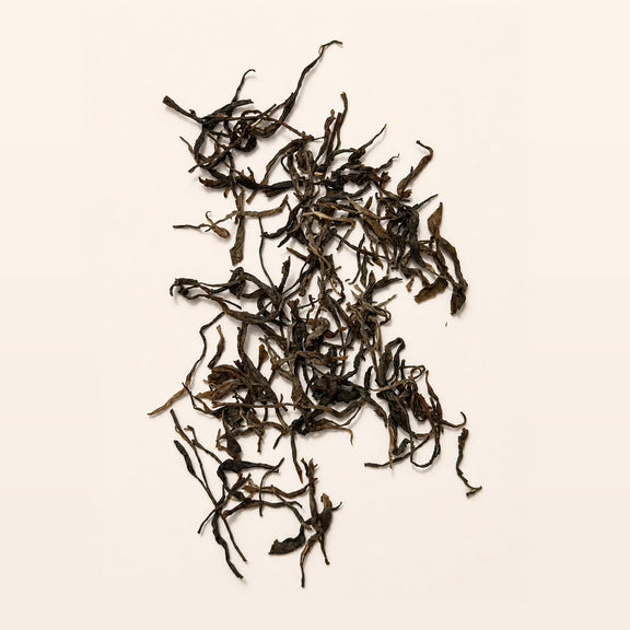 Ancient Tree Raw Puer loose leaf tea